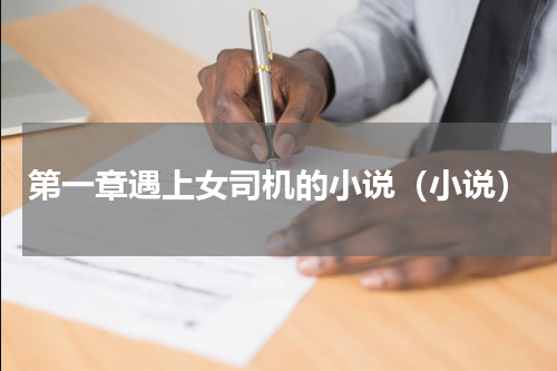 第一章遇上女司机的小说（小说）