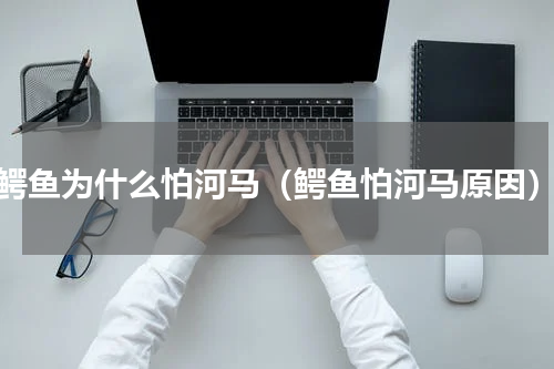 鳄鱼为什么怕河马（鳄鱼怕河马原因）