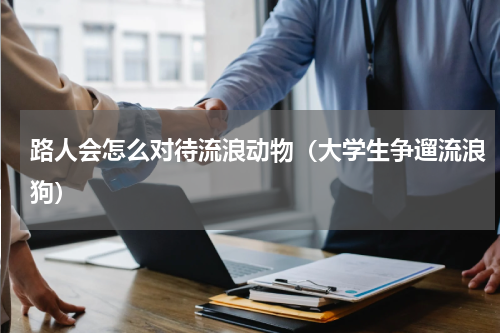 路人会怎么对待流浪动物（大学生争遛流浪狗）