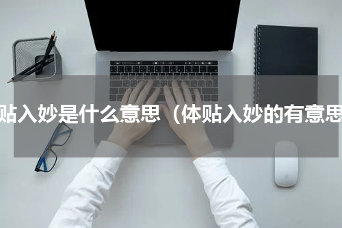 体贴入妙是什么意思（体贴入妙的有意思）