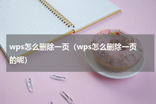 wps怎么删除一页（wps怎么删除一页的呢）
