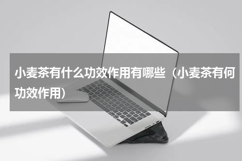 小麦茶有什么功效作用有哪些（小麦茶有何功效作用）