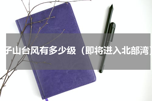 狮子山台风有多少级（即将进入北部湾）