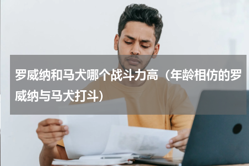 罗威纳和马犬哪个战斗力高（年龄相仿的罗威纳与马犬打斗）