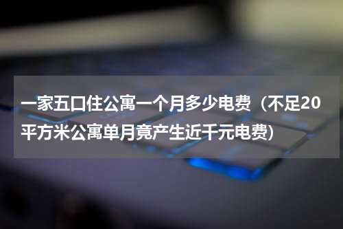 一家五口住公寓一个月多少电费（不足20平方米公寓单月竟产生近千元电费）