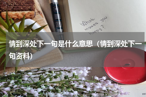 情到深处下一句是什么意思（情到深处下一句资料）