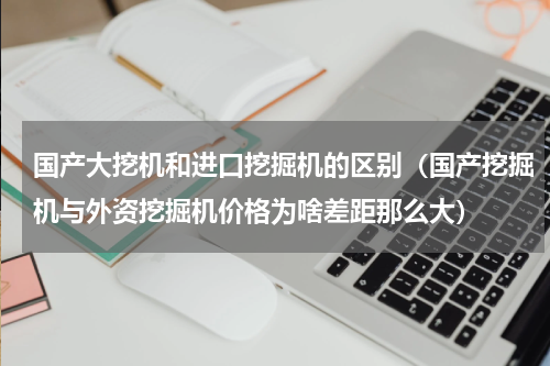 国产大挖机和进口挖掘机的区别（国产挖掘机与外资挖掘机价格为啥差距那么大）