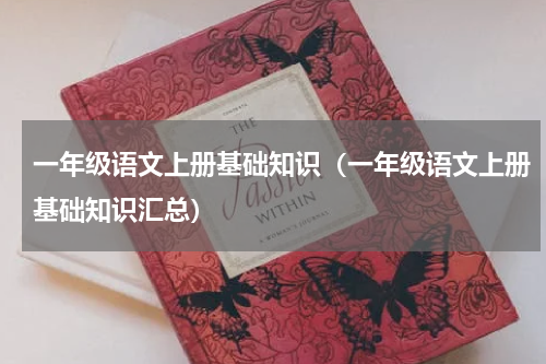 一年级语文上册基础知识（一年级语文上册基础知识汇总）