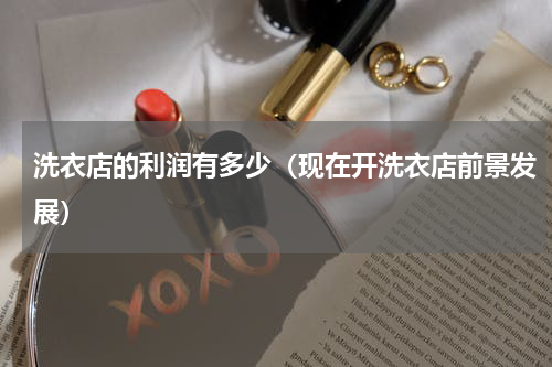 洗衣店的利润有多少（现在开洗衣店前景发展）