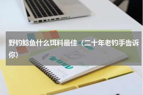 野钓鲶鱼什么饵料最佳（二十年老钓手告诉你）