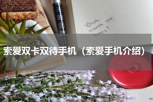 索爱双卡双待手机（索爱手机介绍）