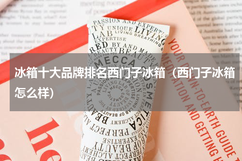 冰箱十大品牌排名西门子冰箱（西门子冰箱怎么样）