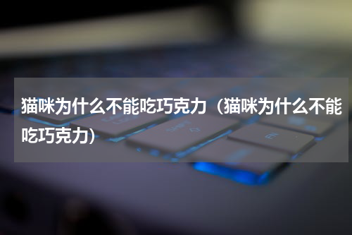 猫咪为什么不能吃巧克力（猫咪为什么不能吃巧克力）