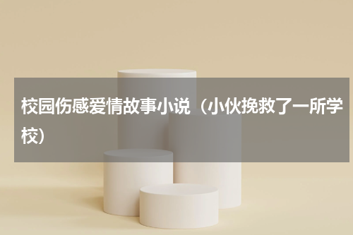 校园伤感爱情故事小说（小伙挽救了一所学校）