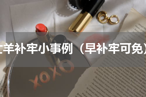 亡羊补牢小事例（早补牢可免）