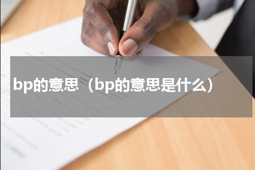 bp的意思（bp的意思是什么）
