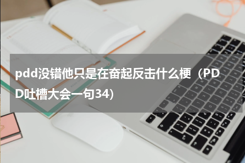 pdd没错他只是在奋起反击什么梗（PDD吐槽大会一句34）
