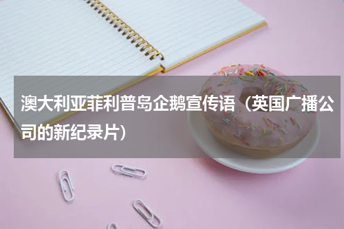 澳大利亚菲利普岛企鹅宣传语（英国广播公司的新纪录片）