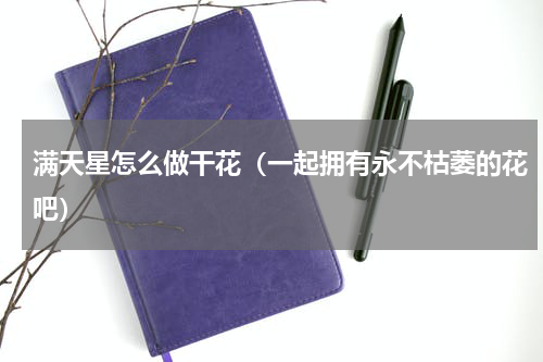 满天星怎么做干花（一起拥有永不枯萎的花吧）
