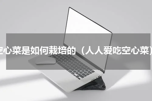 空心菜是如何栽培的（人人爱吃空心菜）