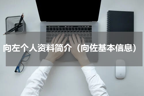 向左个人资料简介（向佐基本信息）