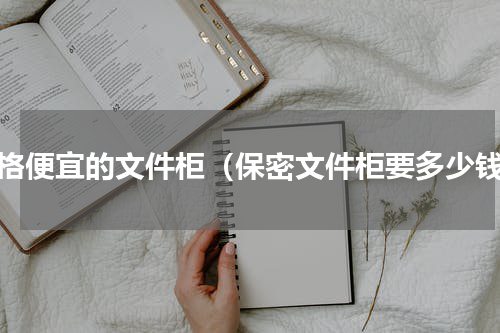 价格便宜的文件柜（保密文件柜要多少钱）