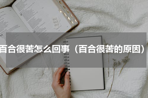 百合很苦怎么回事（百合很苦的原因）