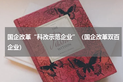 国企改革“科改示范企业”（国企改革双百企业）