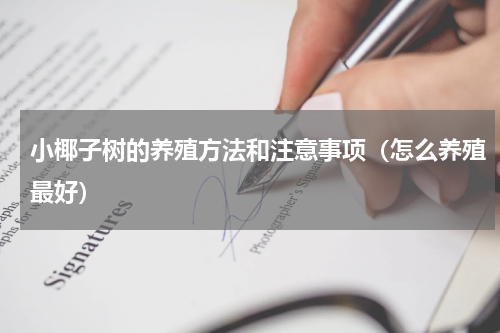 小椰子树的养殖方法和注意事项（怎么养殖最好）