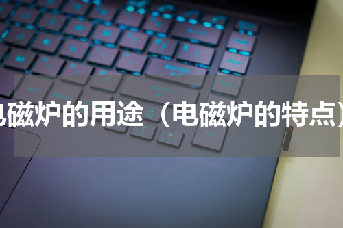 电磁炉的用途（电磁炉的特点）