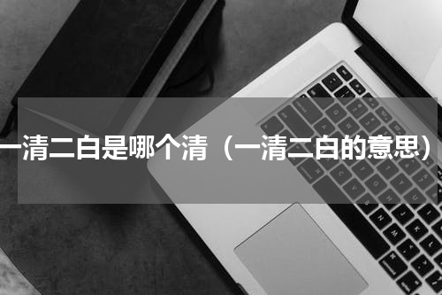 一清二白是哪个清（一清二白的意思）
