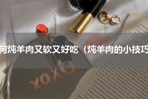 如何炖羊肉又软又好吃（炖羊肉的小技巧）