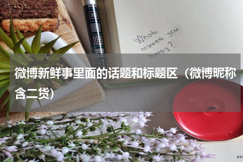 微博新鲜事里面的话题和标题区（微博昵称含二货）