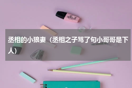 丞相的小狼妻（丞相之子骂了句小哥哥是下人）