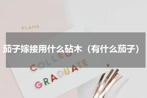 茄子嫁接用什么砧木（有什么茄子）