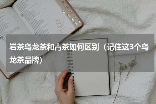 岩茶乌龙茶和青茶如何区别（记住这3个乌龙茶品牌）