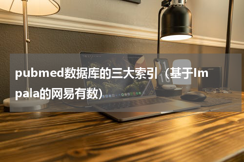 pubmed数据库的三大索引（基于Impala的网易有数）