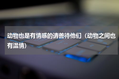 动物也是有情感的请善待他们（动物之间也有温情）