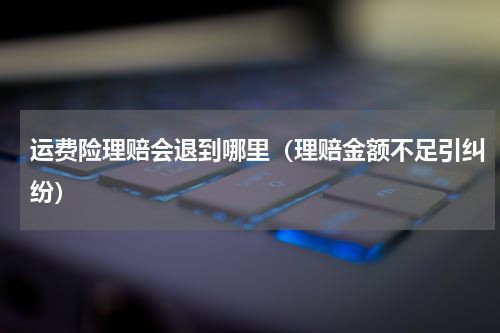 运费险理赔会退到哪里（理赔金额不足引纠纷）