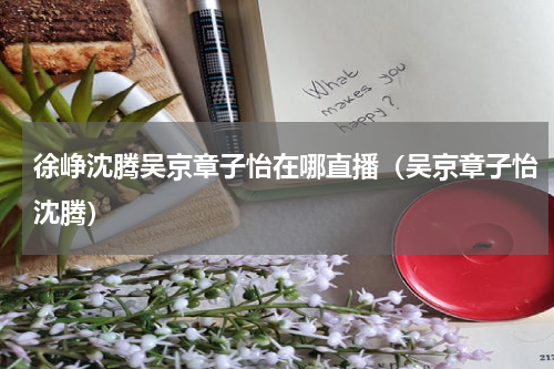 徐峥沈腾吴京章子怡在哪直播（吴京章子怡沈腾）