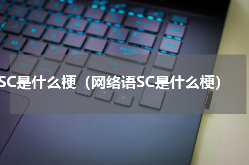 SC是什么梗（网络语SC是什么梗）