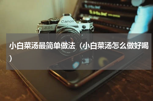 小白菜汤最简单做法（小白菜汤怎么做好喝）