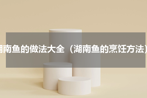 湖南鱼的做法大全（湖南鱼的烹饪方法）