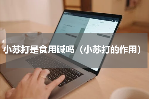 小苏打是食用碱吗（小苏打的作用）