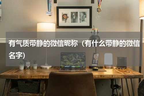 有气质带静的微信昵称（有什么带静的微信名字）