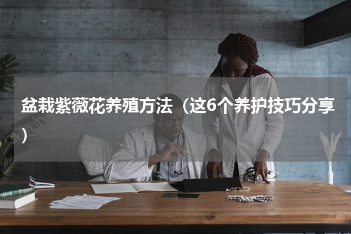 盆栽紫薇花养殖方法（这6个养护技巧分享）