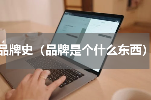 品牌史（品牌是个什么东西）