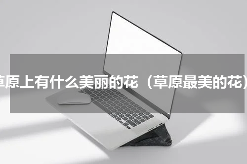 草原上有什么美丽的花（草原最美的花）