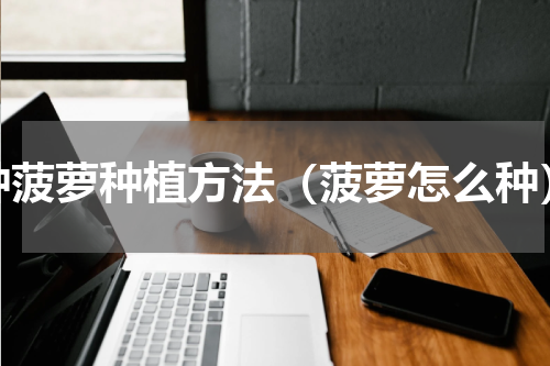 种菠萝种植方法（菠萝怎么种）