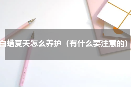 白蜡夏天怎么养护（有什么要注意的）